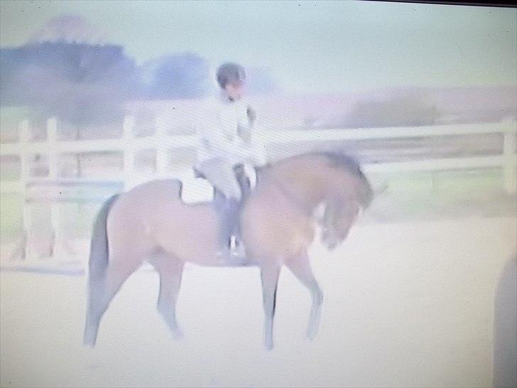 Kvinde linda billede 9