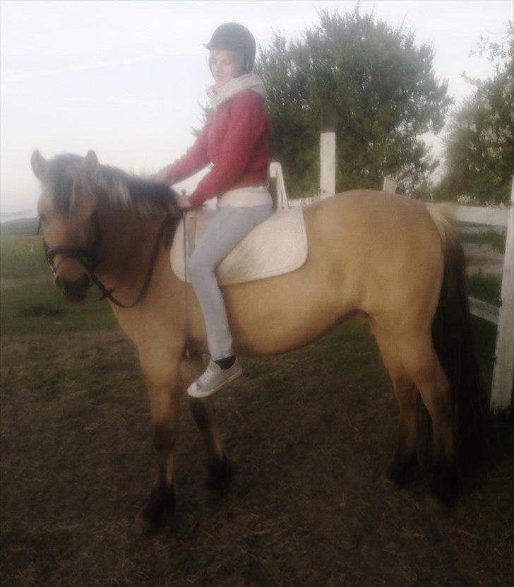 Kvinde Frk. Ædespalte. - 'en gang hestepige, altid hestepige :i billede 17