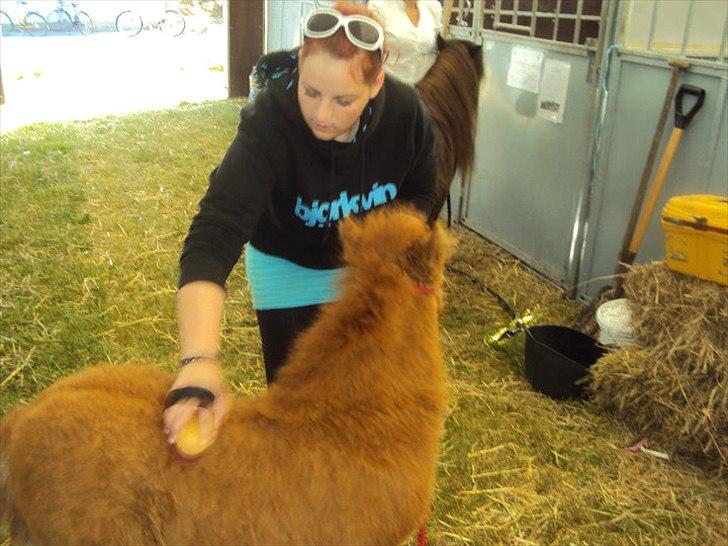 Kvinde Dianna - .. Brøste og Baby :) billede 2