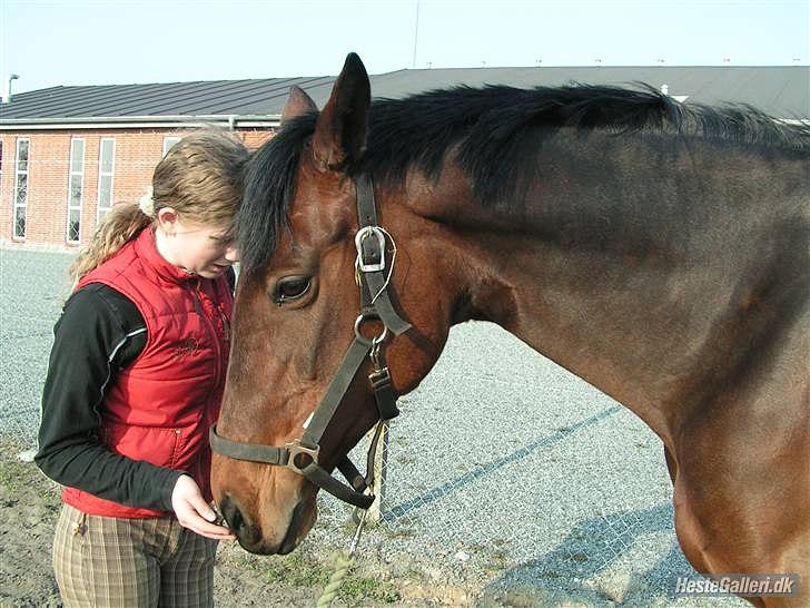 Kvinde Marie Louise M-D - Hvil i fred. Mit livs kærlighed. Du vil altid have den støreste plads i mit hjerte<3 Jeg elsker dig ubeskrivlig meget.. Catani. I love you billede 9