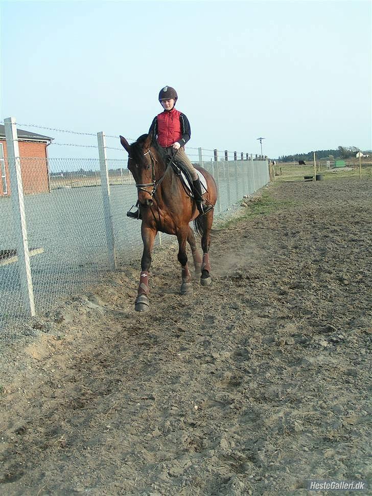 Kvinde Marie Louise M-D - Catani.. Min elskede stjerne, der desværre måtte forlade den jord, men hun vil altid leve i mig.  billede 10