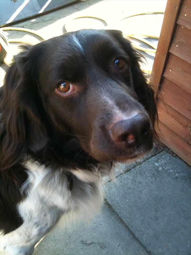 Kvinde Maria billede 9