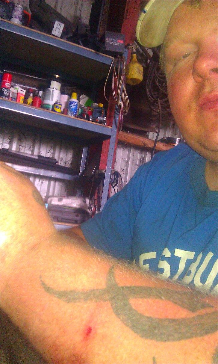 Mand teddy billede 9