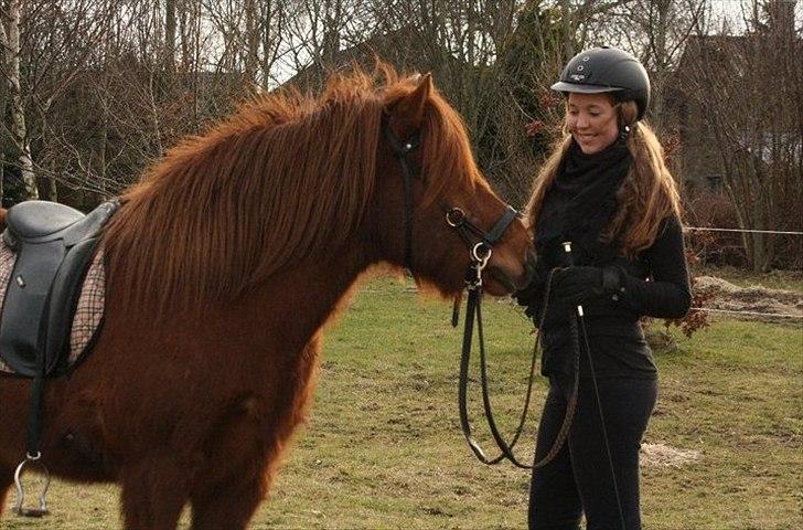 Kvinde  » Mütze #?!@# - Min egen hest + mig i 2011 Februar :)
Nøj hvor jeg elsker min hest <3 Han kan også ses på hestegalleri under Borkur. billede 10
