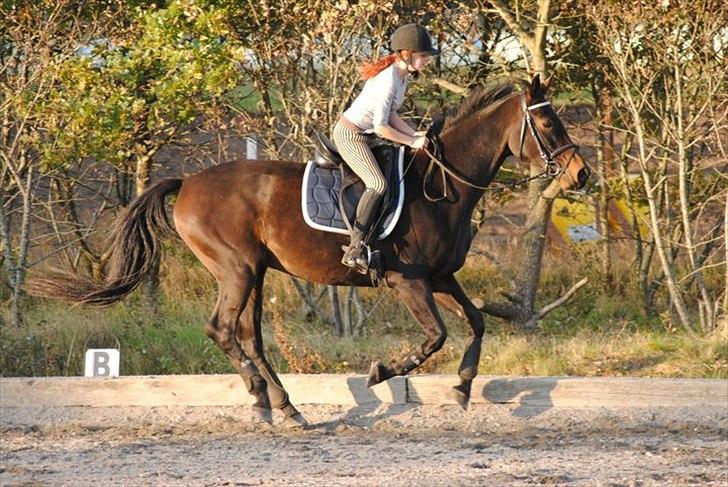 Kvinde Heidi  billede 3