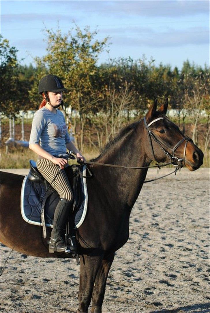 Kvinde Heidi  billede 4