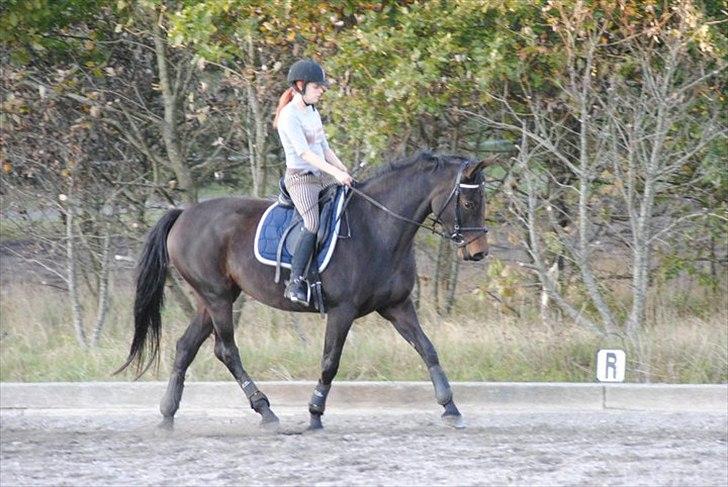 Kvinde Heidi  billede 6