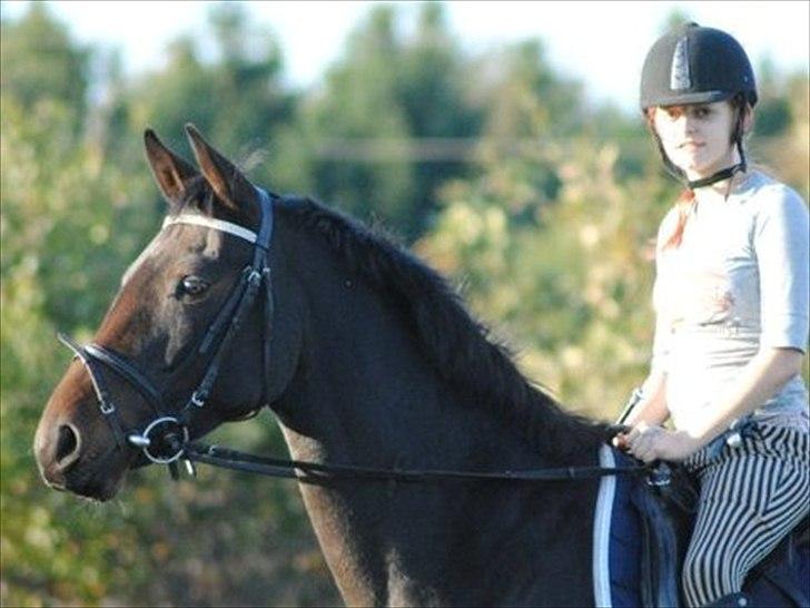 Kvinde Heidi  billede 7