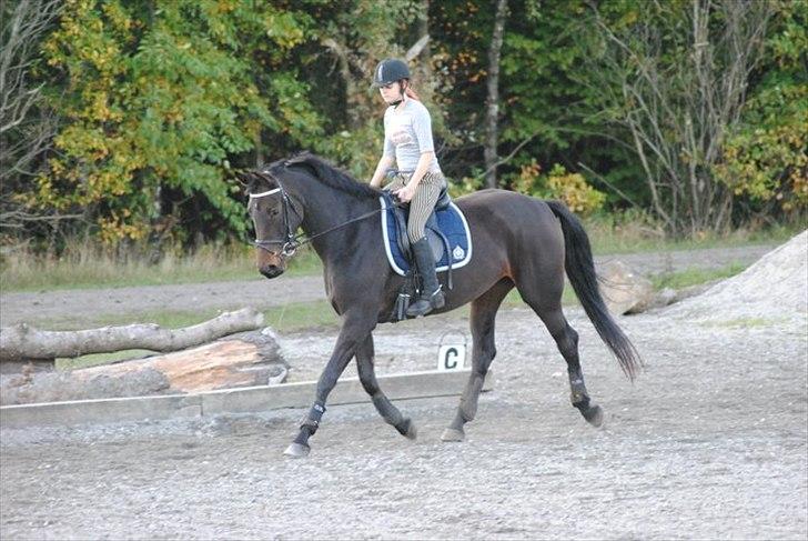 Kvinde Heidi  billede 8