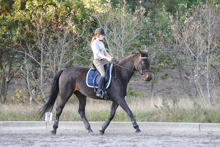 Kvinde Heidi  billede 9