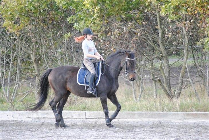 Kvinde Heidi  billede 10