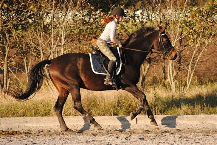 Kvinde Heidi  billede 11