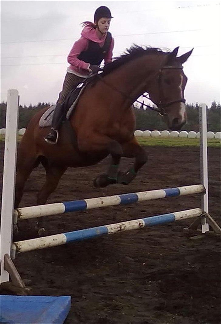 Kvinde Heidi  billede 13