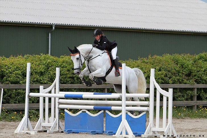 Kvinde Mathilde Caroline - Mig og min søde hophest! billede 4