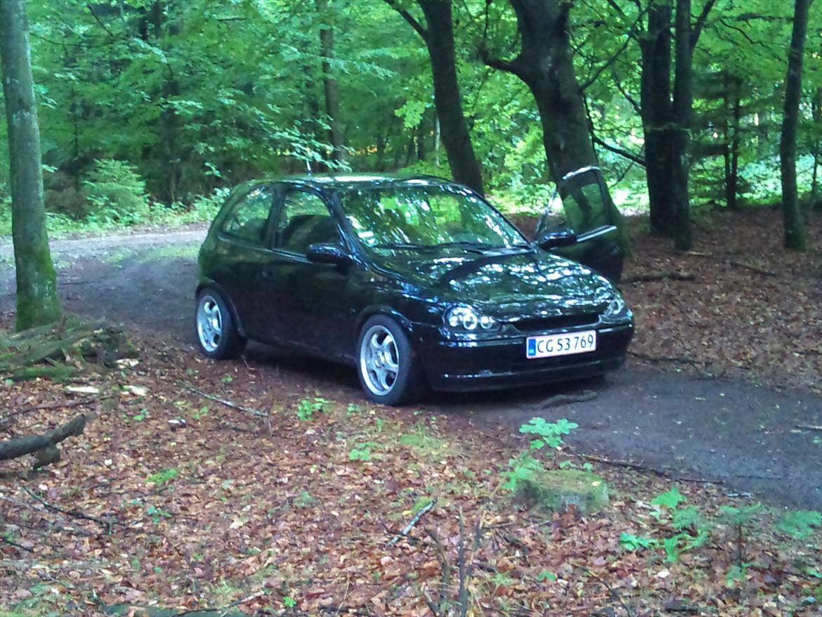 Mand Nikolaj billede 10