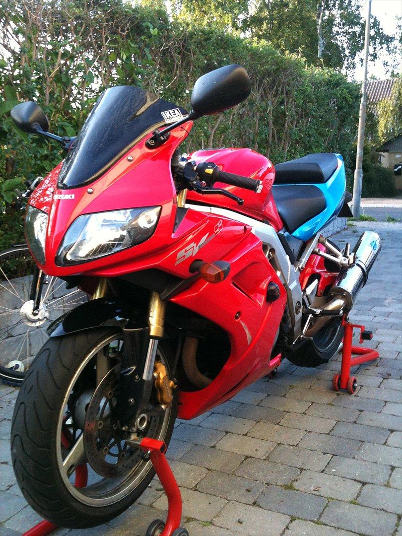 Mand Strandløven billede 5