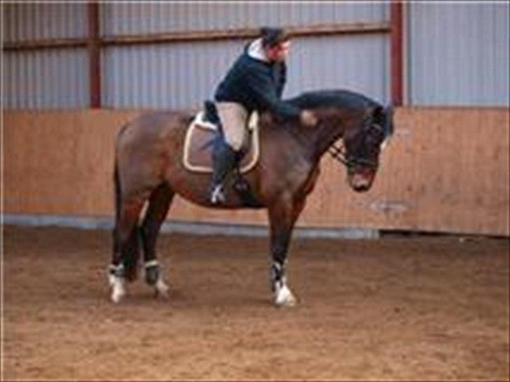 Kvinde Trine billede 7