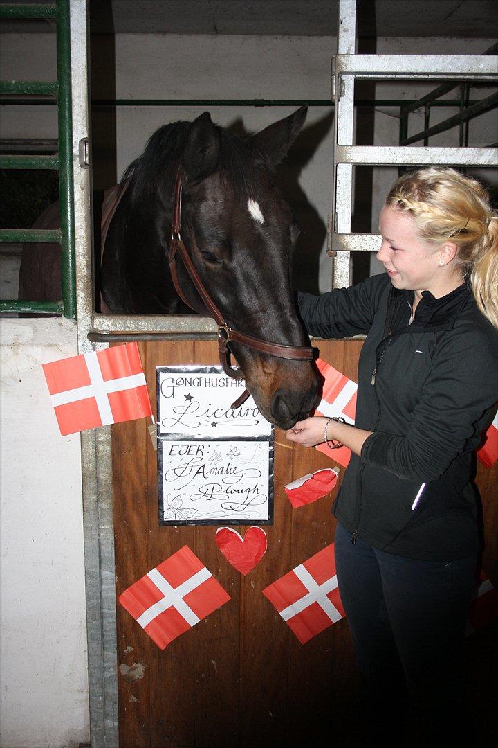 Kvinde Amalie billede 10