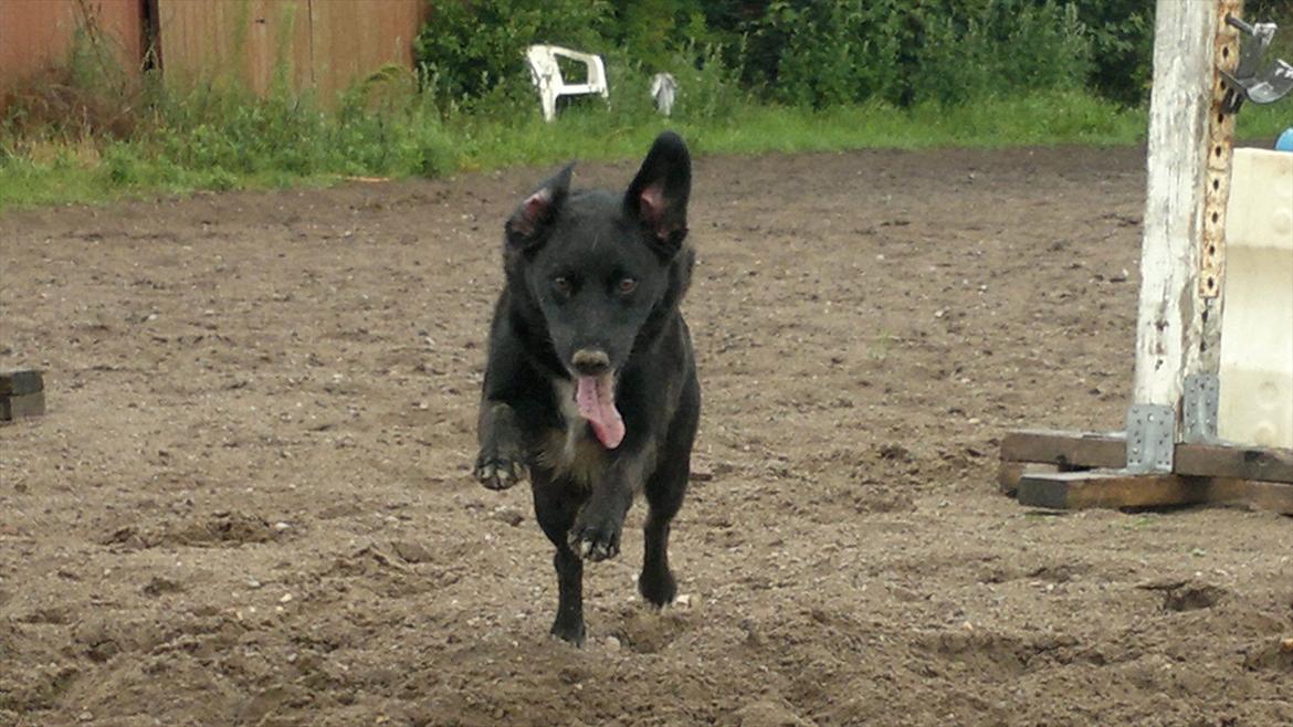 Kvinde _ anika (; billede 17