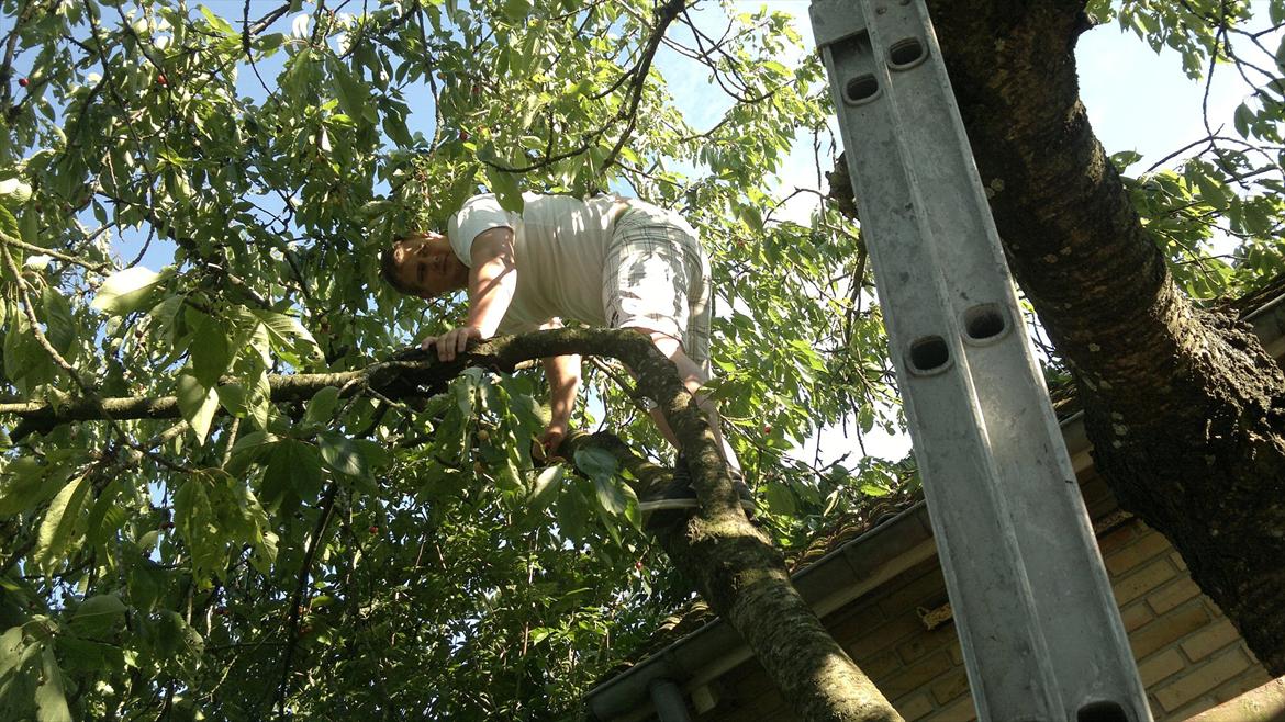 Kvinde _ anika (; billede 18