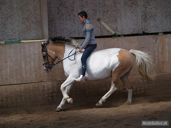 Kvinde Tea B. Hansen billede 9