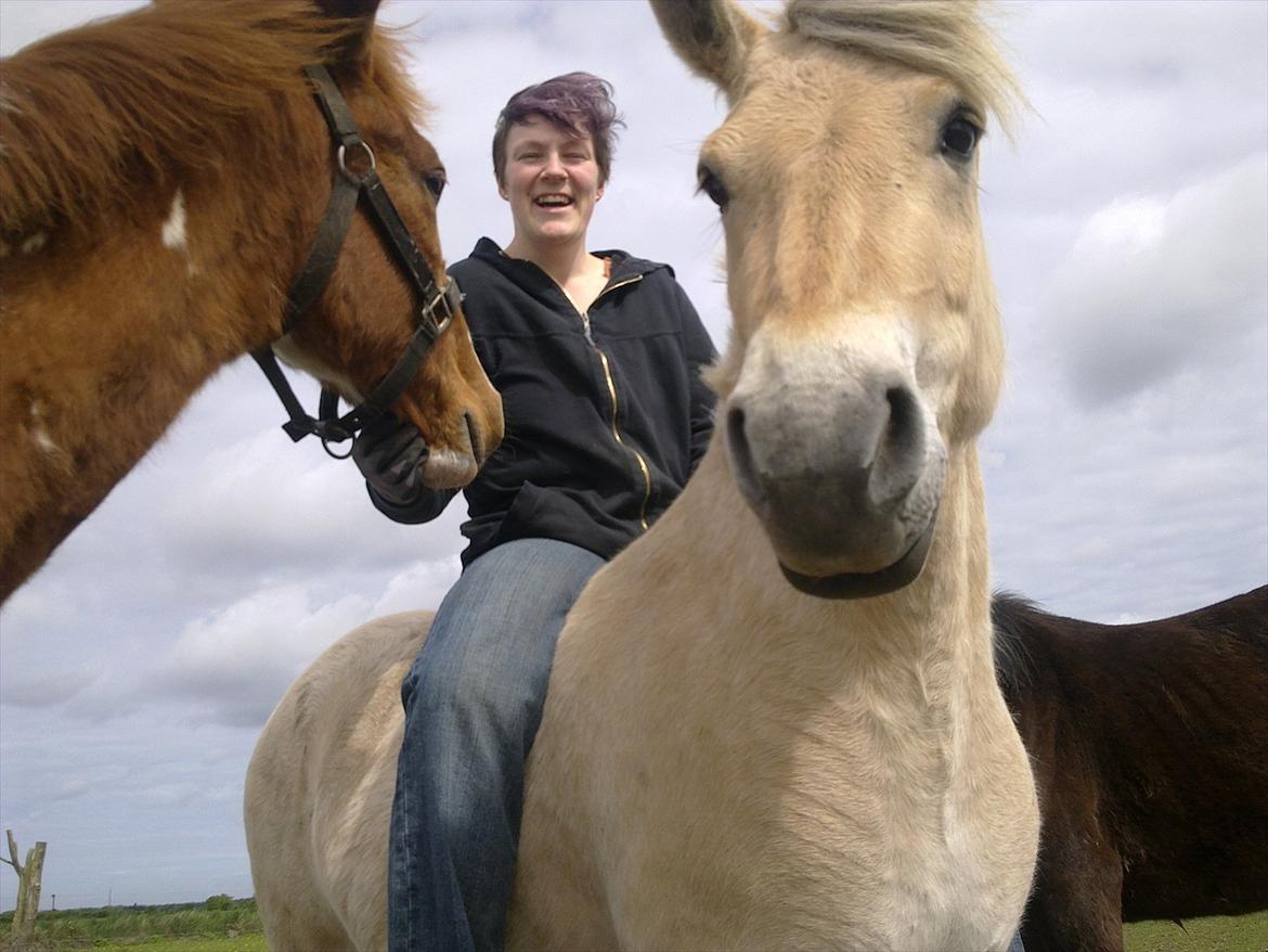 Kvinde Tazz - 5/6-11 billede 10