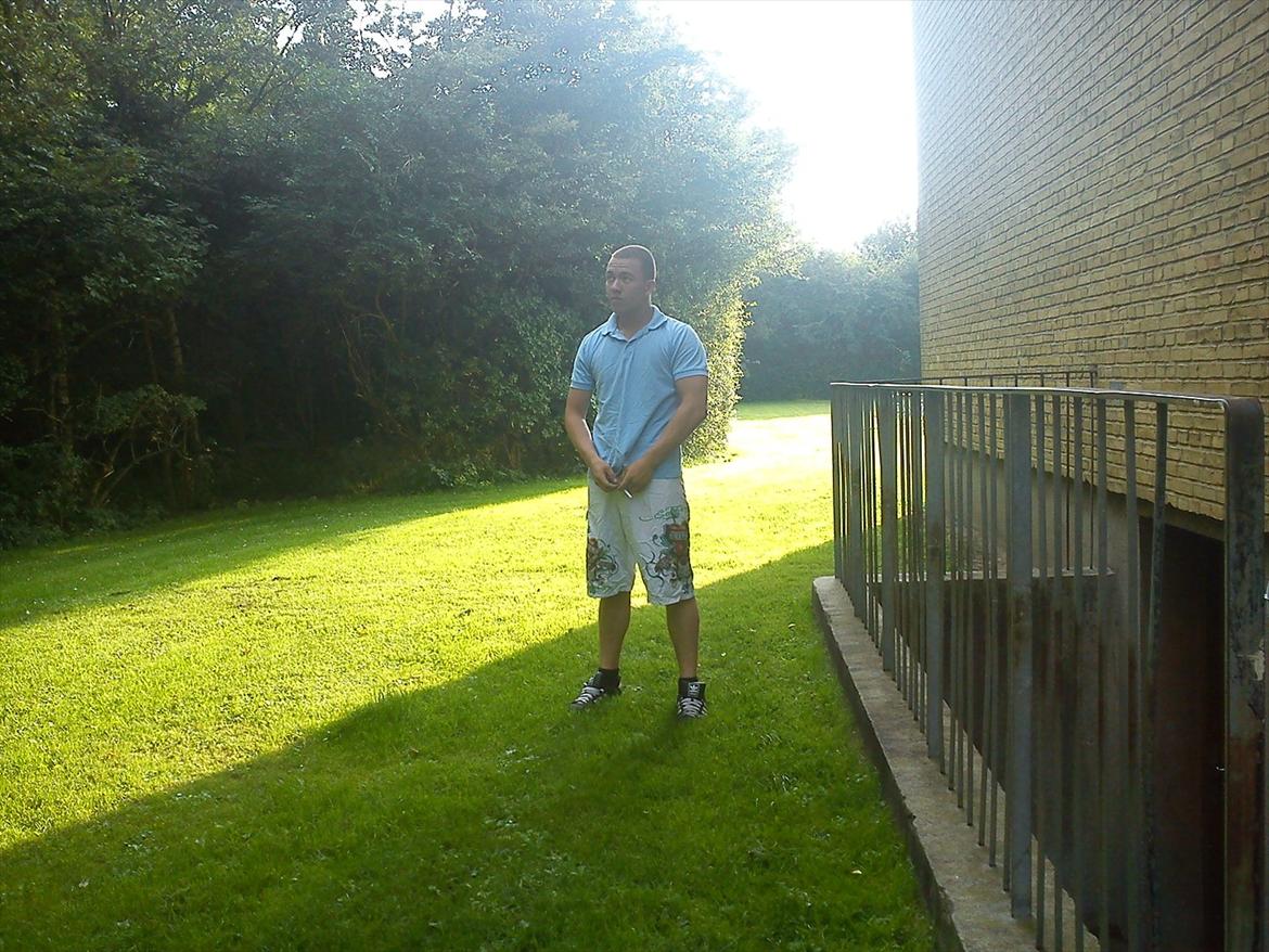 Mand Alexander billede 1