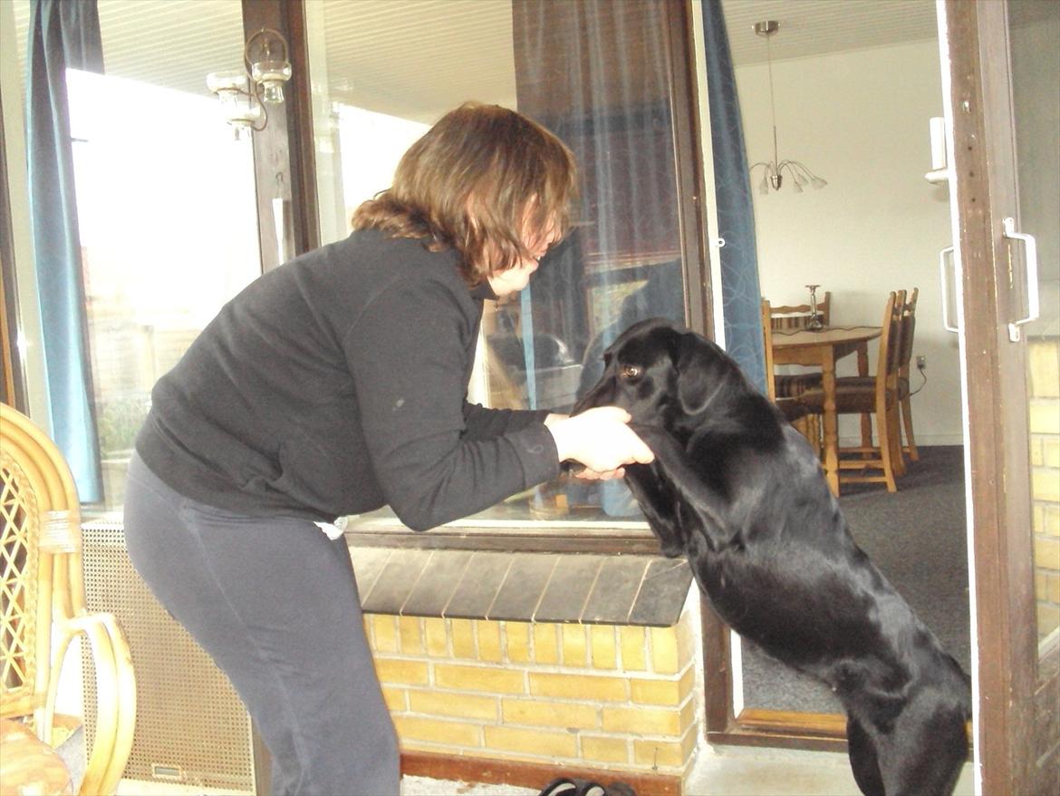 Kvinde helene billede 6