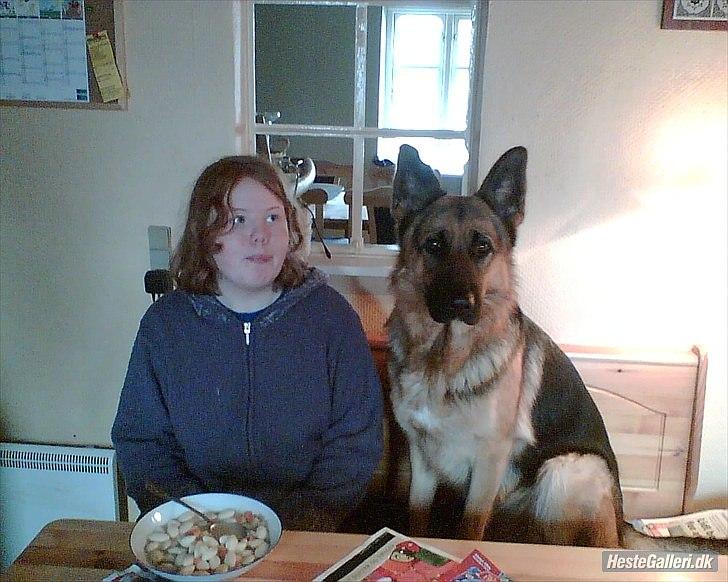 Kvinde helene billede 7