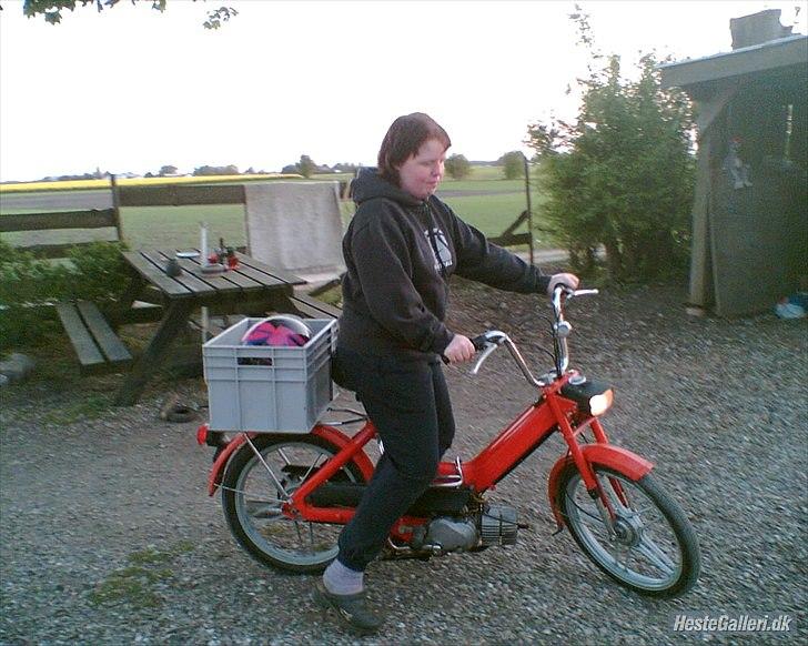 Kvinde helene billede 8