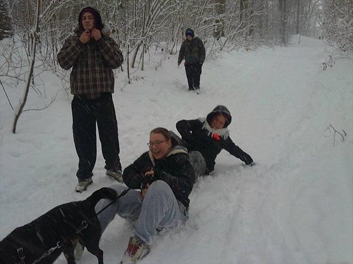Mand Lasse - Den skøre familie i skoven billede 5