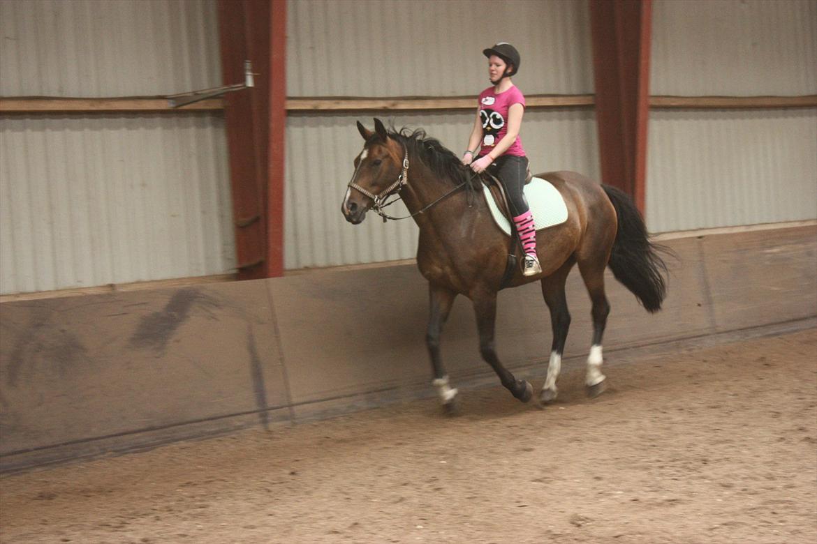 Kvinde Luise <3 - Mig og min gamle hest Cassy <3 Savner hende :i 
Juli'11 billede 7