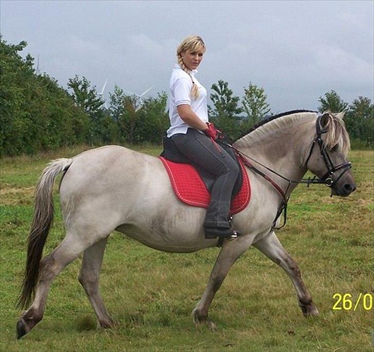 Kvinde lena johansson billede 20