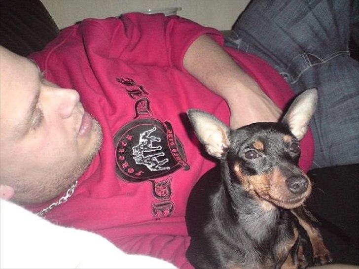 Mand Milo billede 10