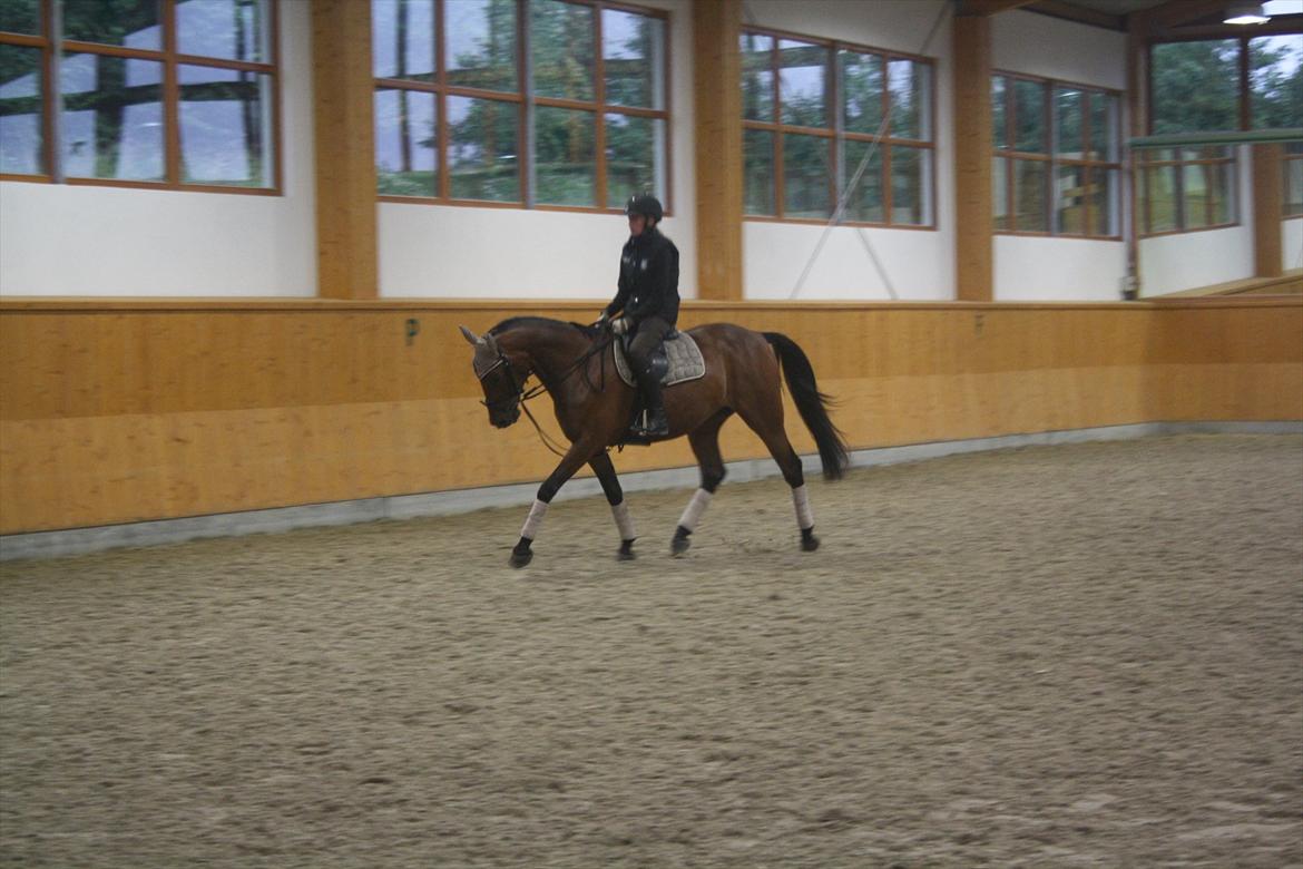 Kvinde linda billede 2