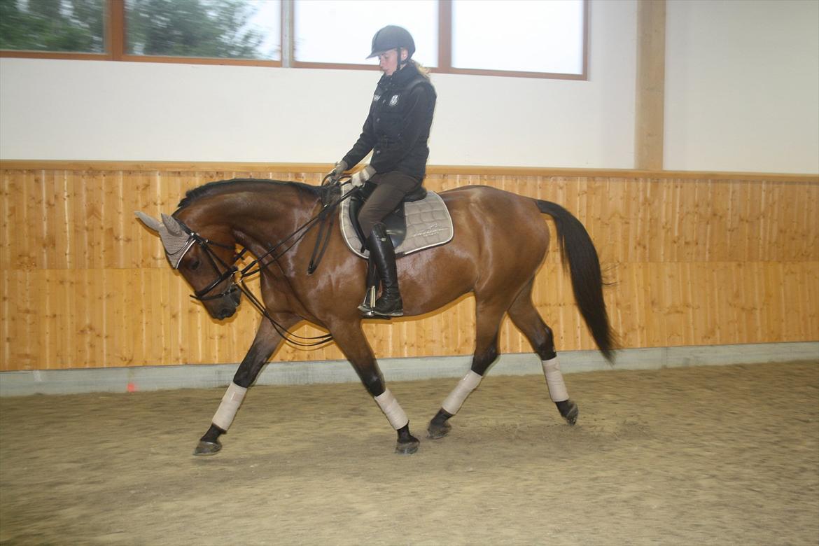 Kvinde linda billede 1