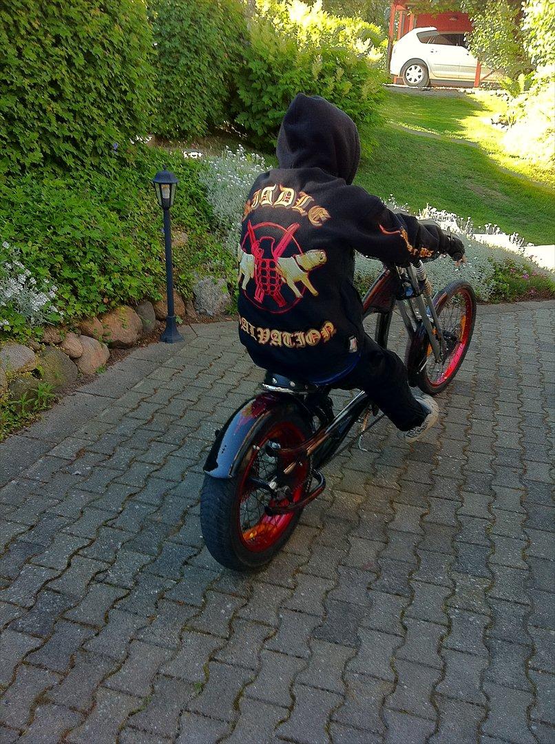 Mand jonas - min lillebror nye cykel med mig på billede 5