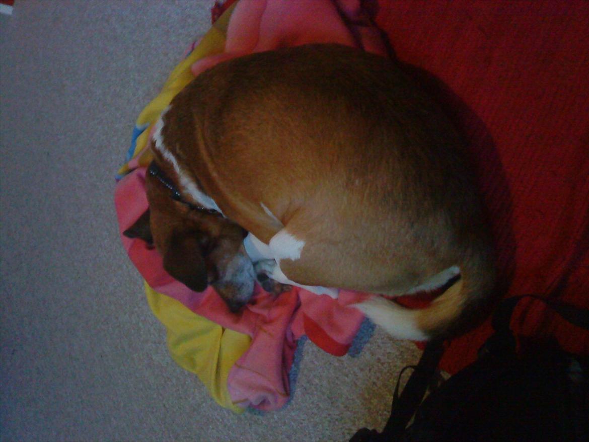 Kvinde Camila billede 1