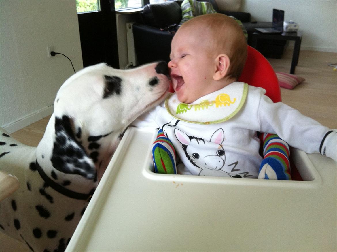 Kvinde Sabrina Folmann ;* - Min datter Sophie og min hund Fine (: 7Mdr billede 6