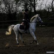 Kvinde Louise Knudsen