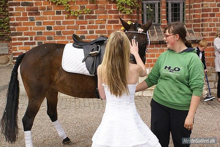 Kvinde vinnie  - det er mig da stå med ponyen og billede der er blivet taget til den konfirmation og det er konfirmanden da stå også ved ponyen   billede 5