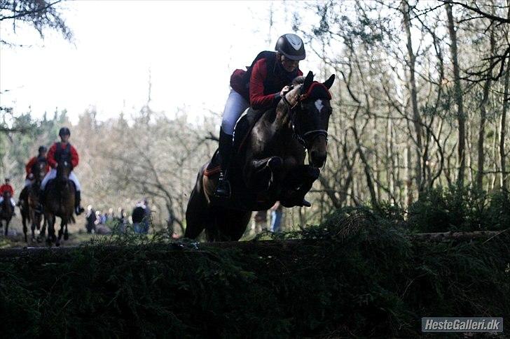 Kvinde Julie 'Kongen' Hansen - gamle pony (: billede 17