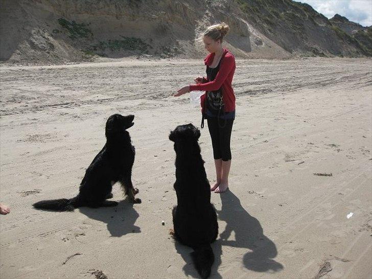 Kvinde Shannon Marek Beck billede 4