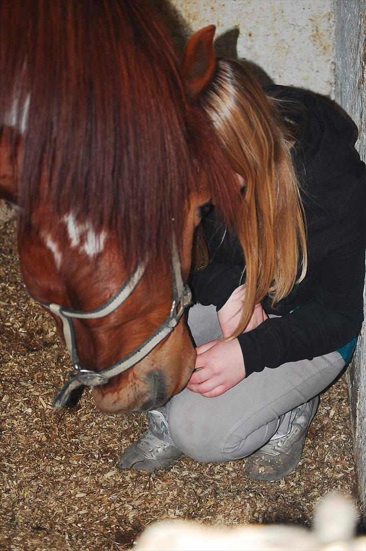 Kvinde Bella Vinter - Mig og min gamle part Martell. 
Forever a part of me...
Fotograf: Katrine Bender Petersen billede 2