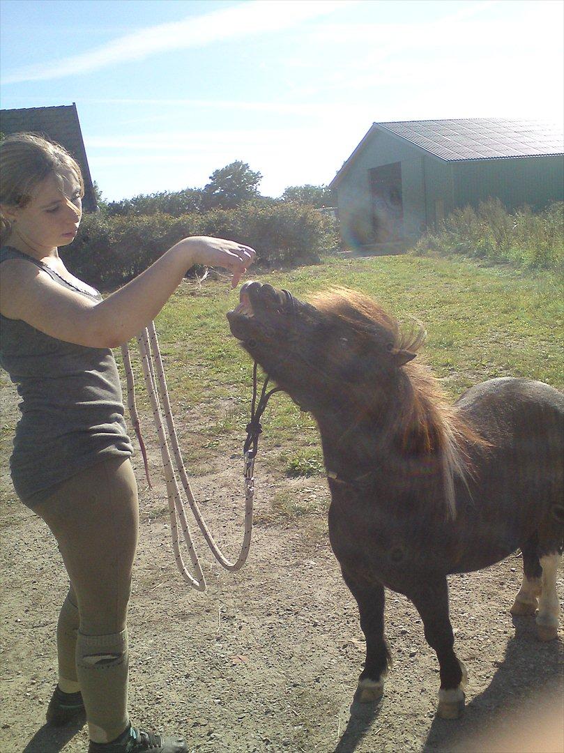 Kvinde Bella Vinter - Mig og min gamle trickpony Emil<3 billede 3