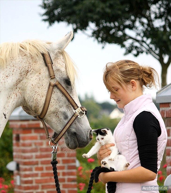 Kvinde Louise Knudsen billede 5