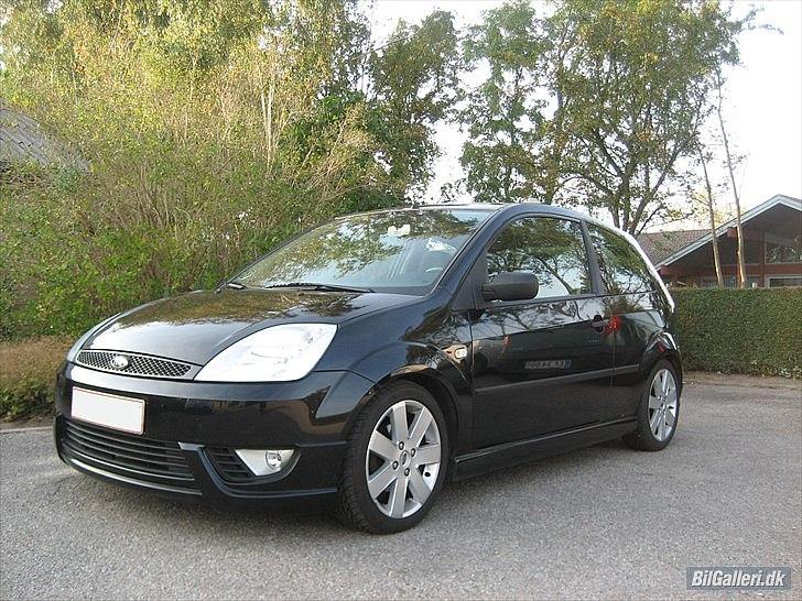 Mand Martin R billede 4