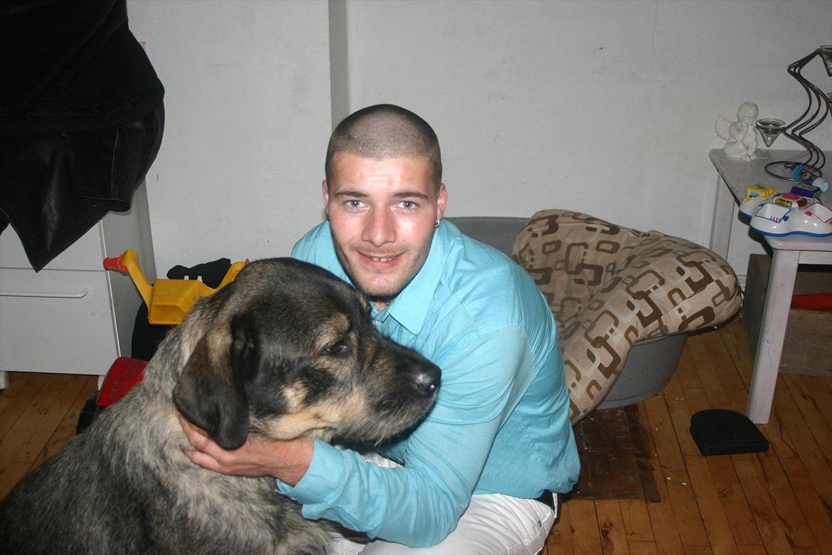 Mand Bruno - Mig og min Hund Pax (er self os på hundegalleri ;-) billede 3