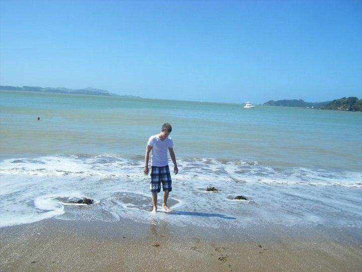 Mand Martin Lund - Ved stranden i Paihia, New Zealand. billede 10