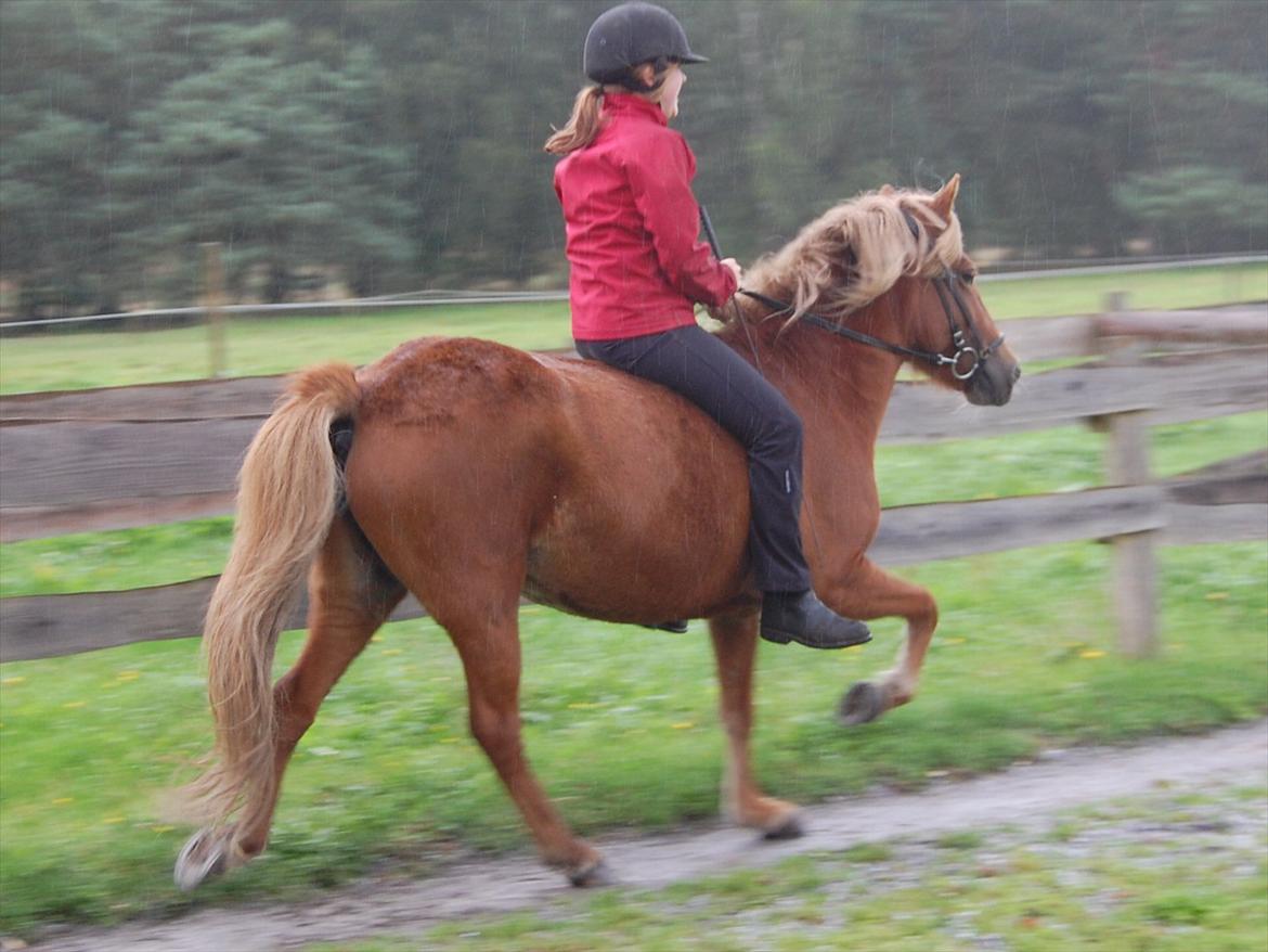 Kvinde Pernille - Arbejde:) billede 5